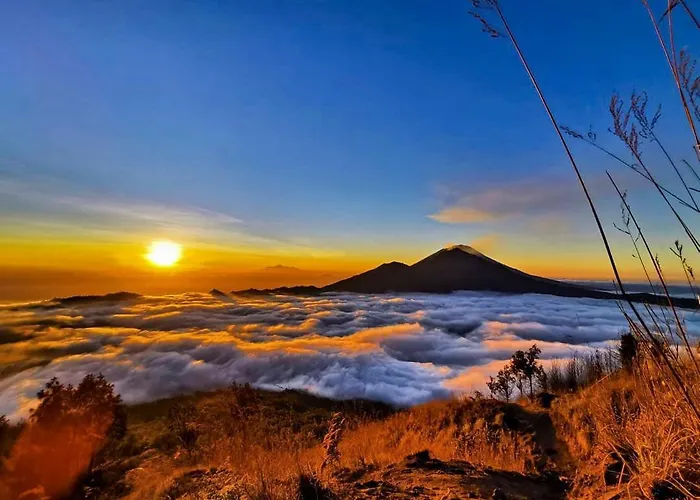 Manik Tirta Cabin\'S